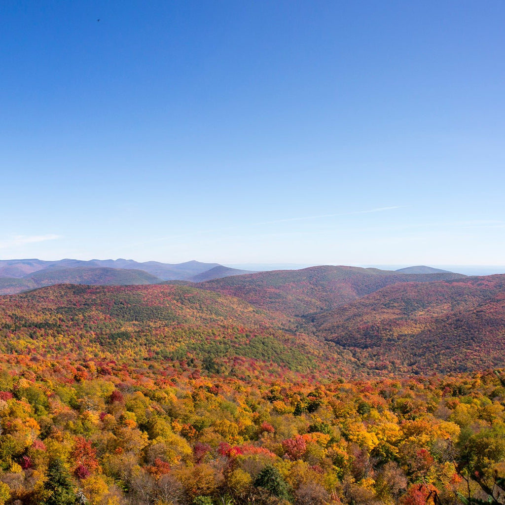 fall foliage in the catskill mountains from giant ledge