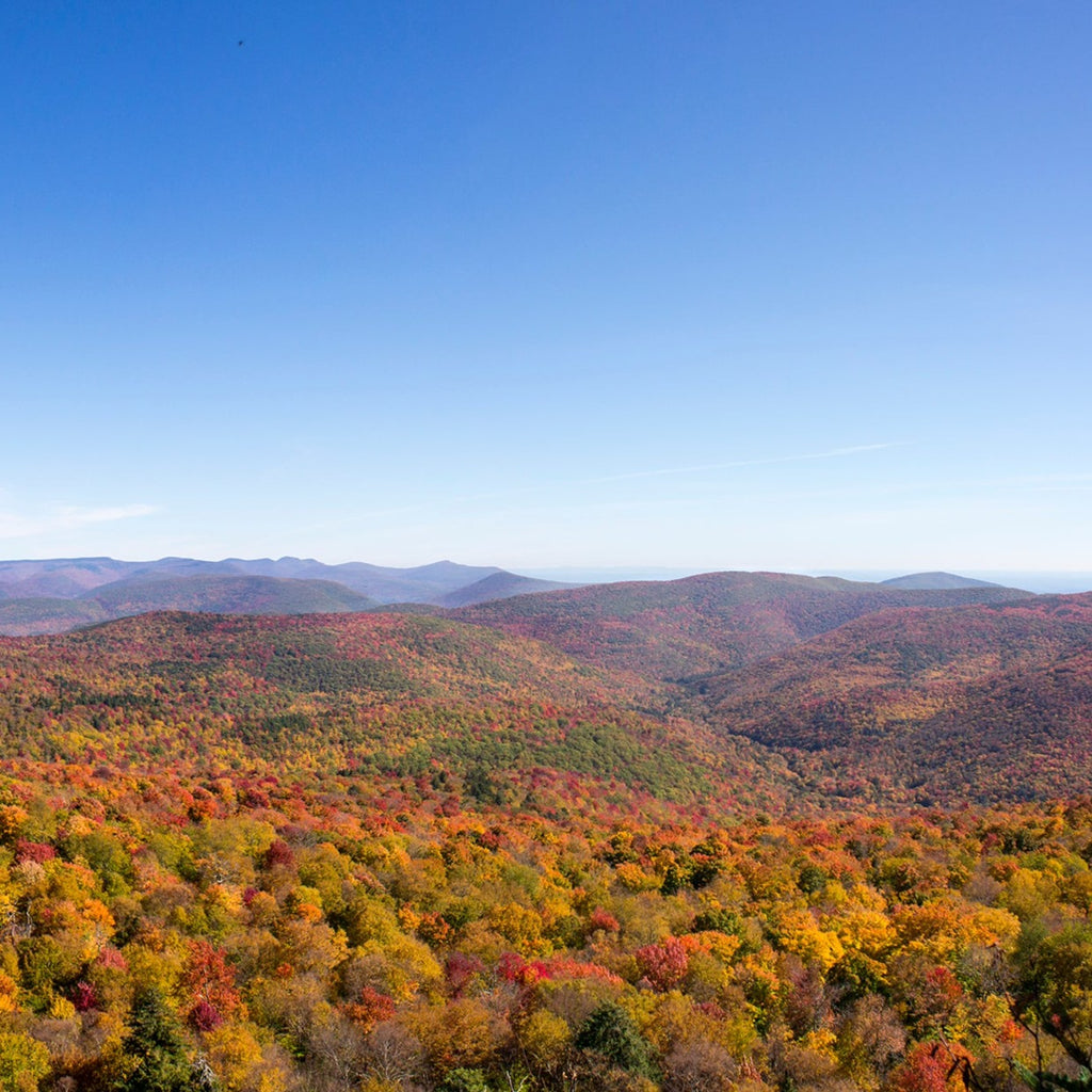 fall foliage in the Catskills mountains from a summit view