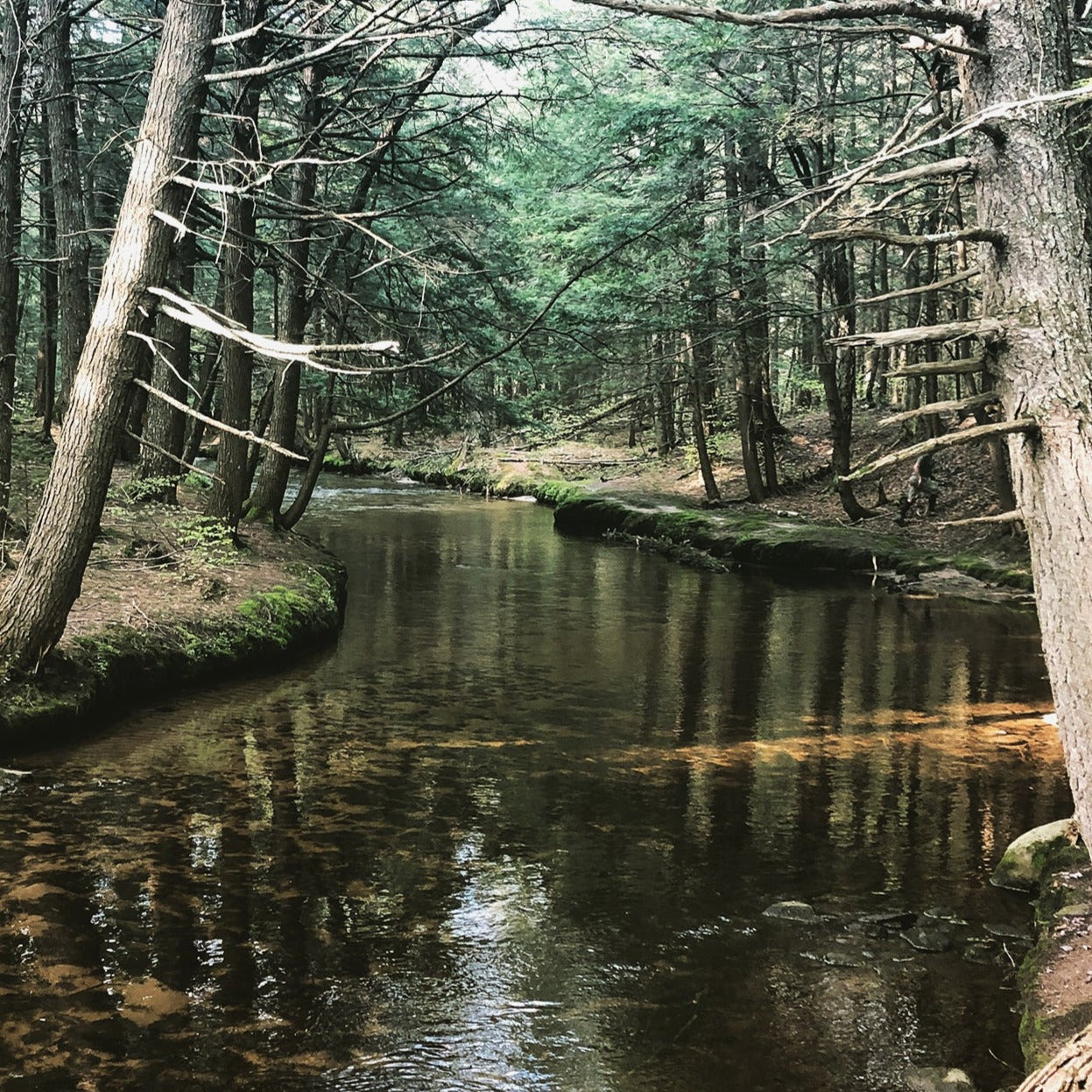 Enchanted Forest Paddle (4/26-27)