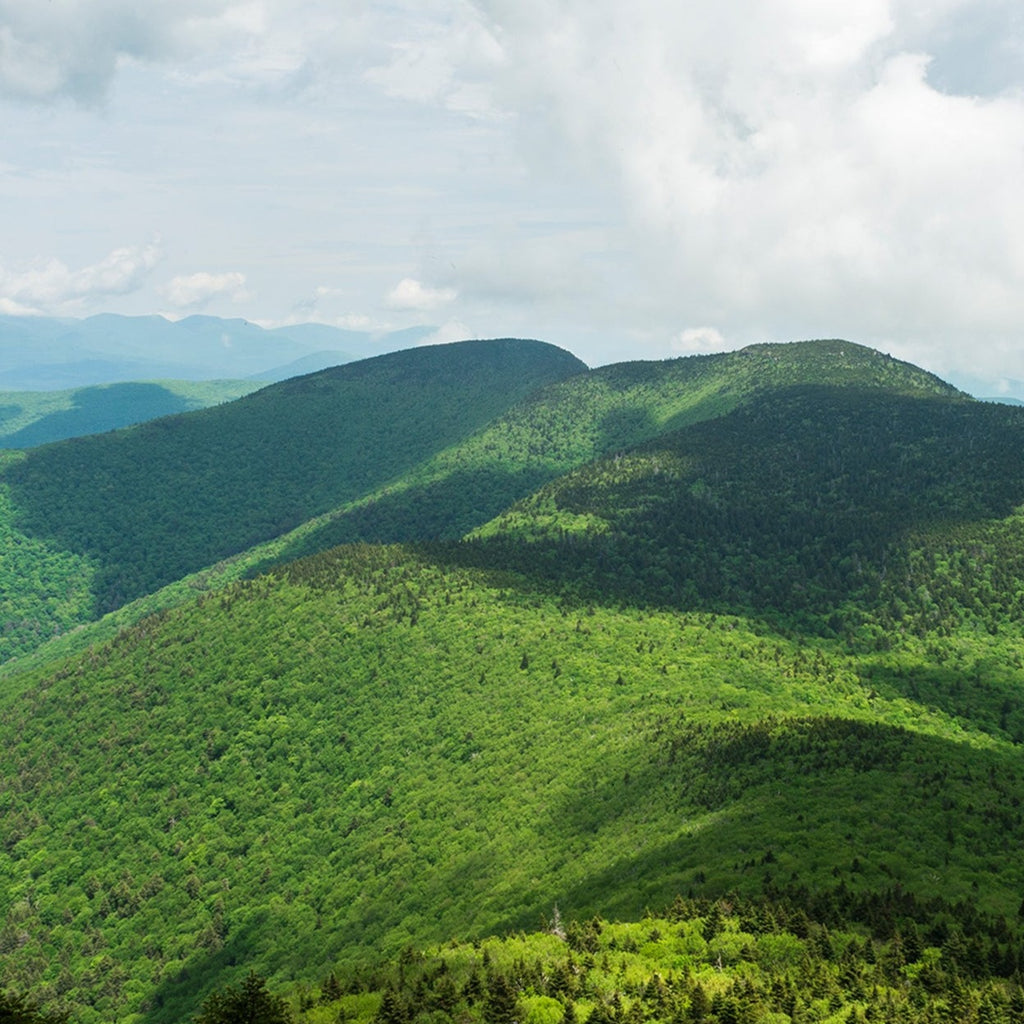 two summer Catskills peaks covered in lush green forest
