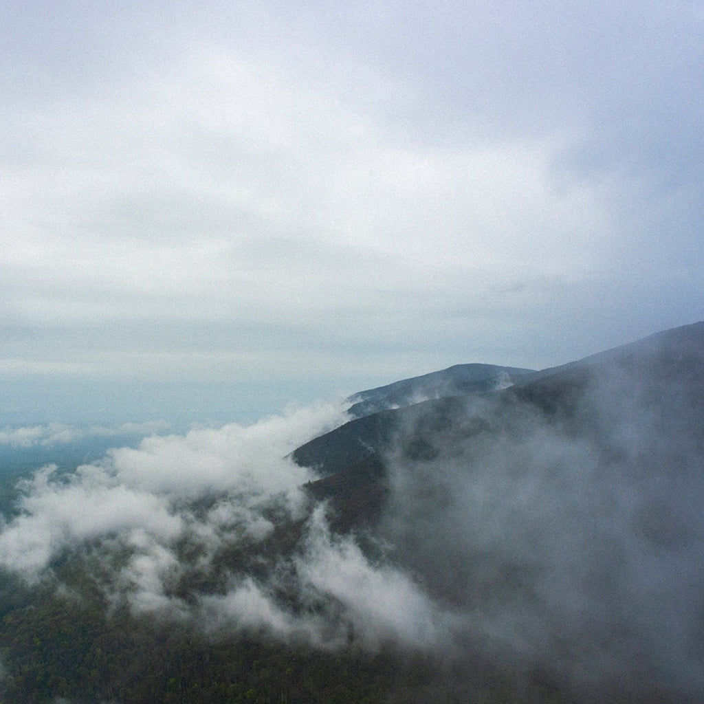 view from a catskill mountain summit looking down at cloud cover