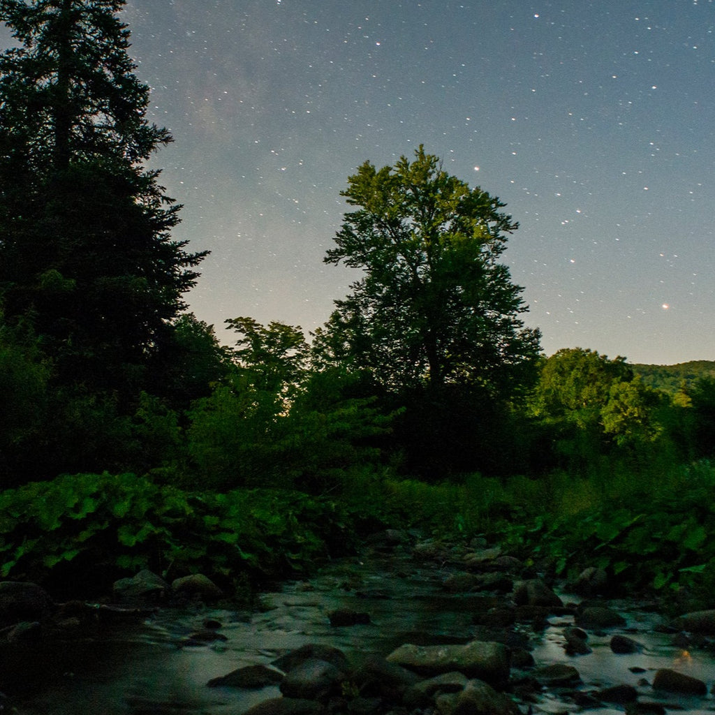 a starry sky at twilight over a backcountry creek with big trees 
