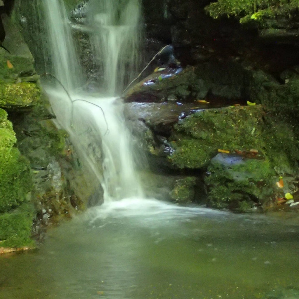 a backcountry stream flows in a small waterfall into a natural swimming hole