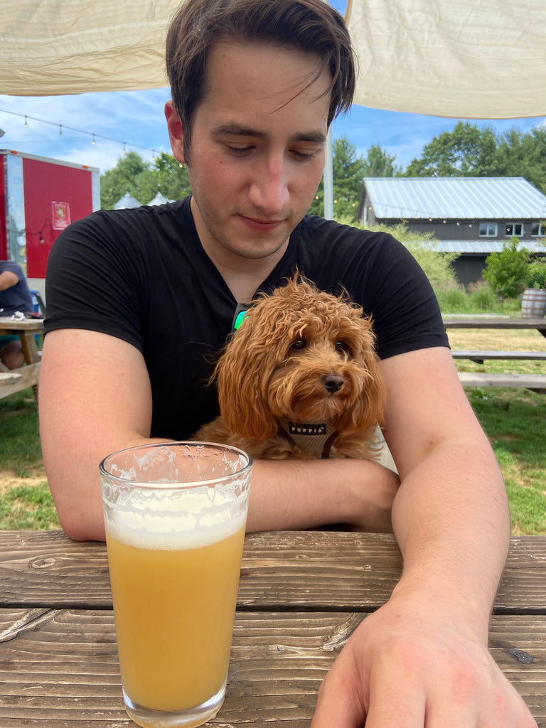 Berry-Picking Hike & Brewery Visit (7/7)