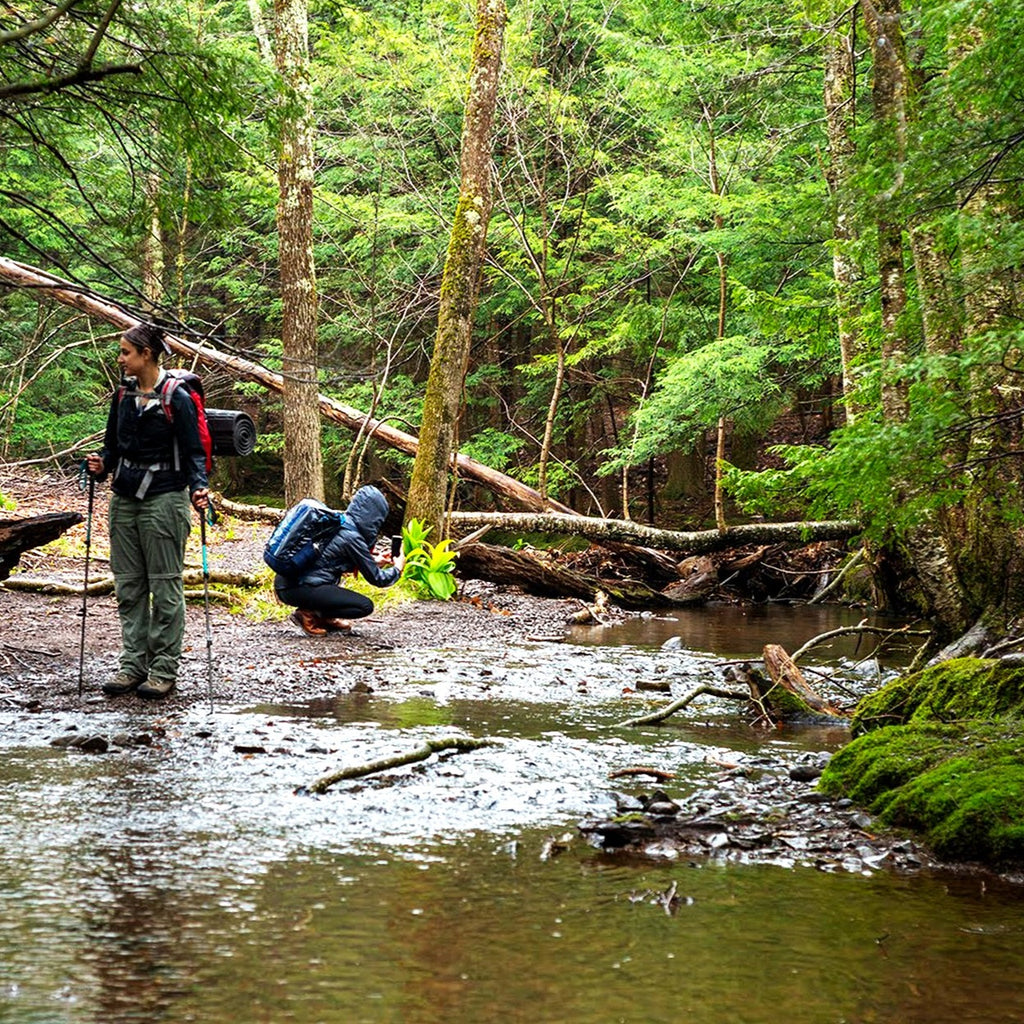 two hikers stop at a shallow spring in a lush green forest
